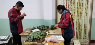 1611997302(1).png 1611997302(1).png